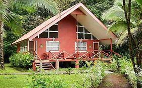 Caribbean Paradise Eco Lodge Tortuguero
